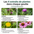 Drainant Lymphatique