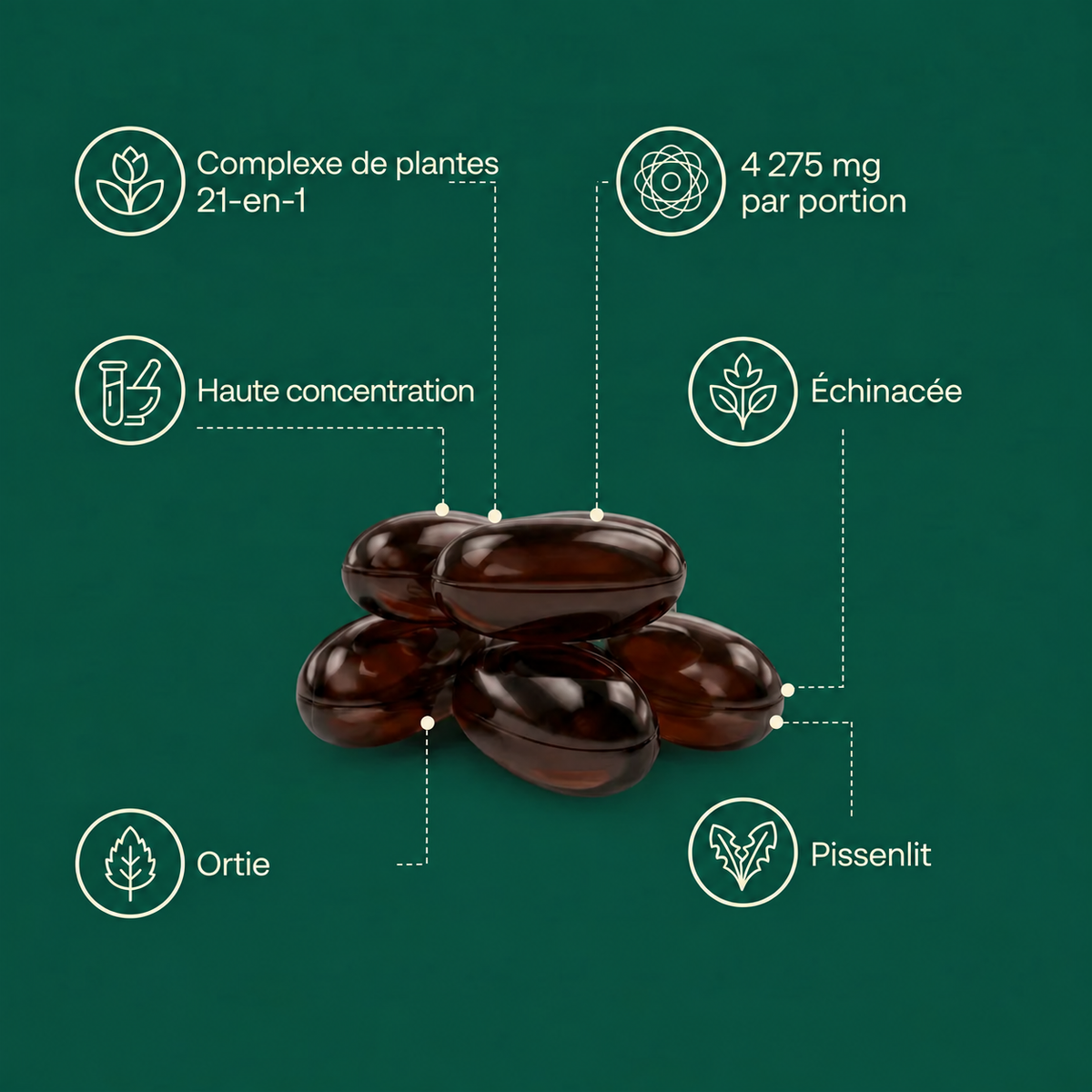 DRAINAGE LYMPHATIQUE LYNORA®