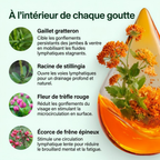 Drainant Lymphatique