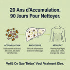 Complexe Detox Foie Lynora