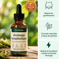 DRAINANT LYMPHATIQUE